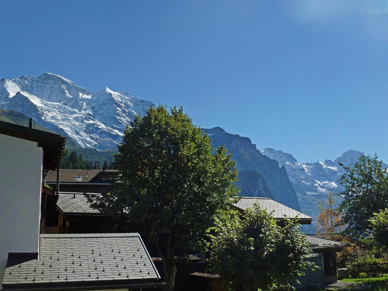 Apartment Goldenhorn Apt-F By Interhome Wengen Exterior foto
